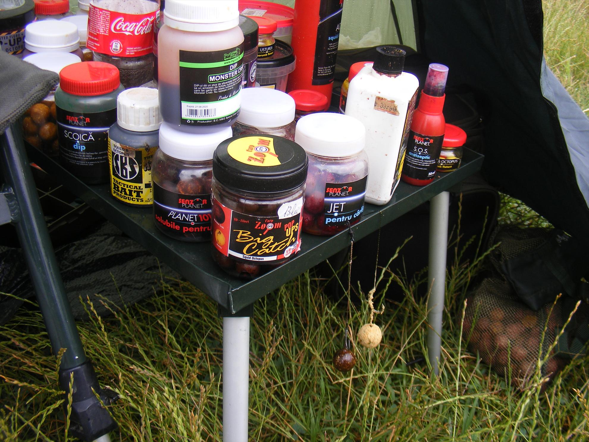 Moara Vlasiei-Dream place! - dscf1823.JPG